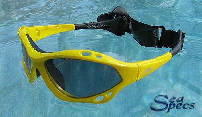 Sea Specs Water Glasses